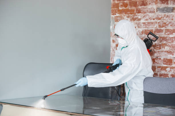 Best Water Damage & Mold Remediation  in New Cumberland, PA